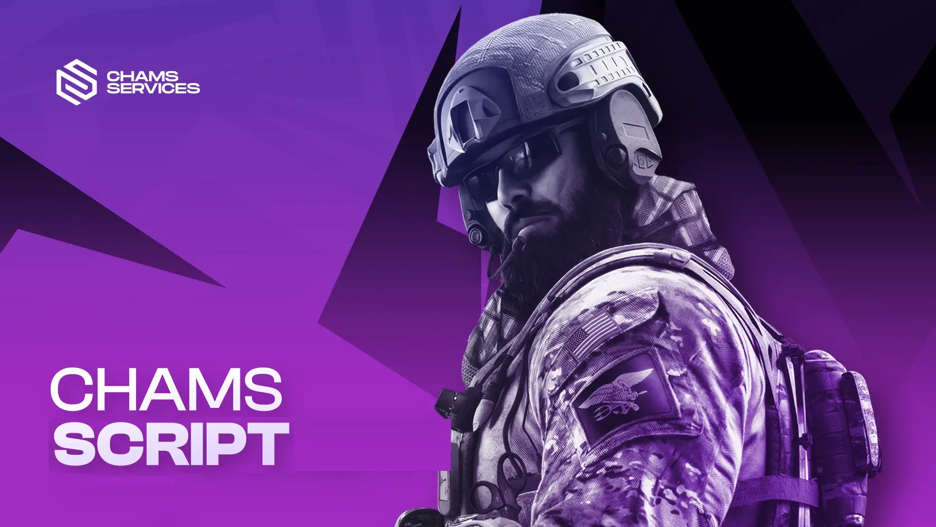 Chams R6 Recoil Script