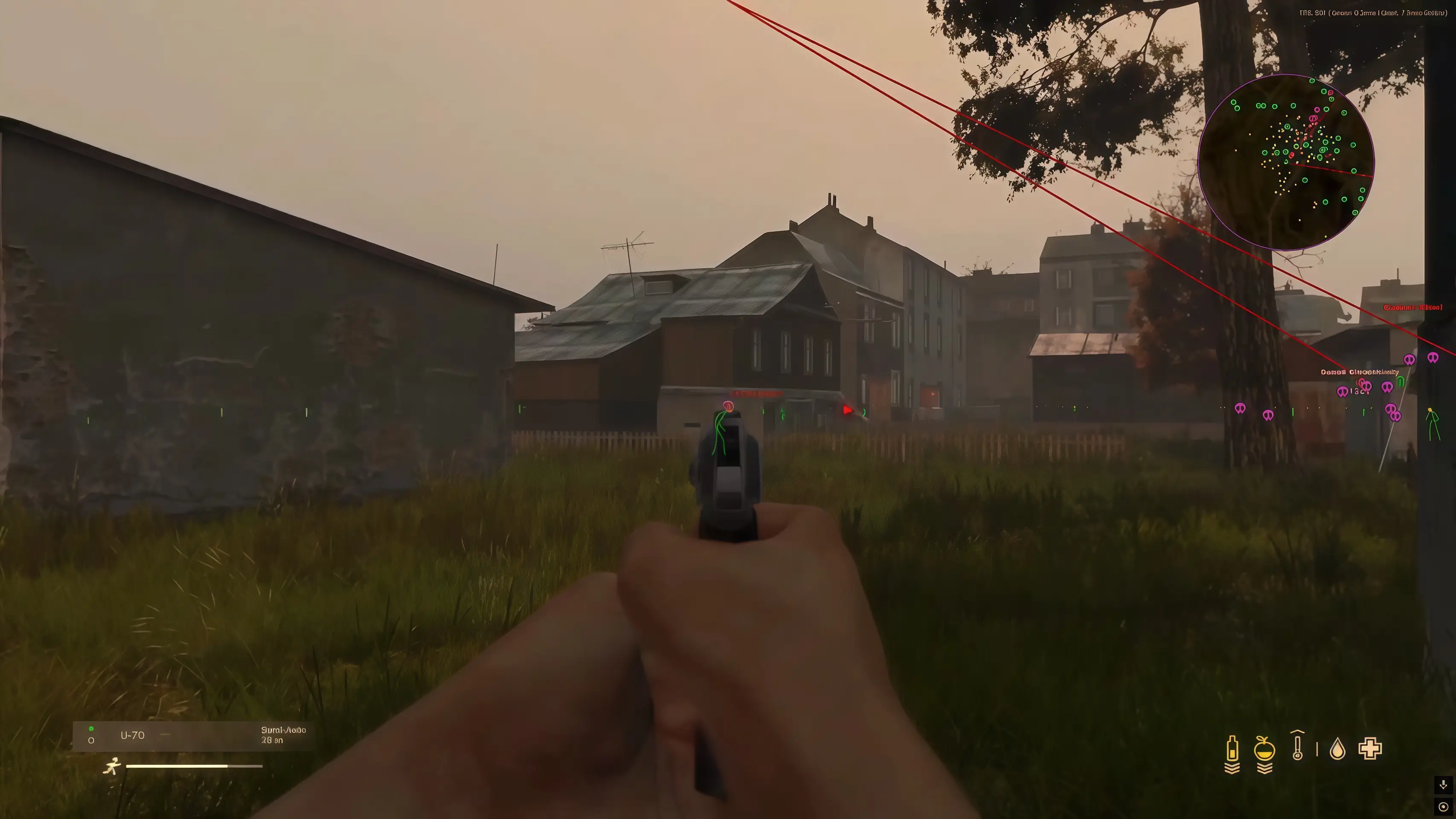 DayZ DMA