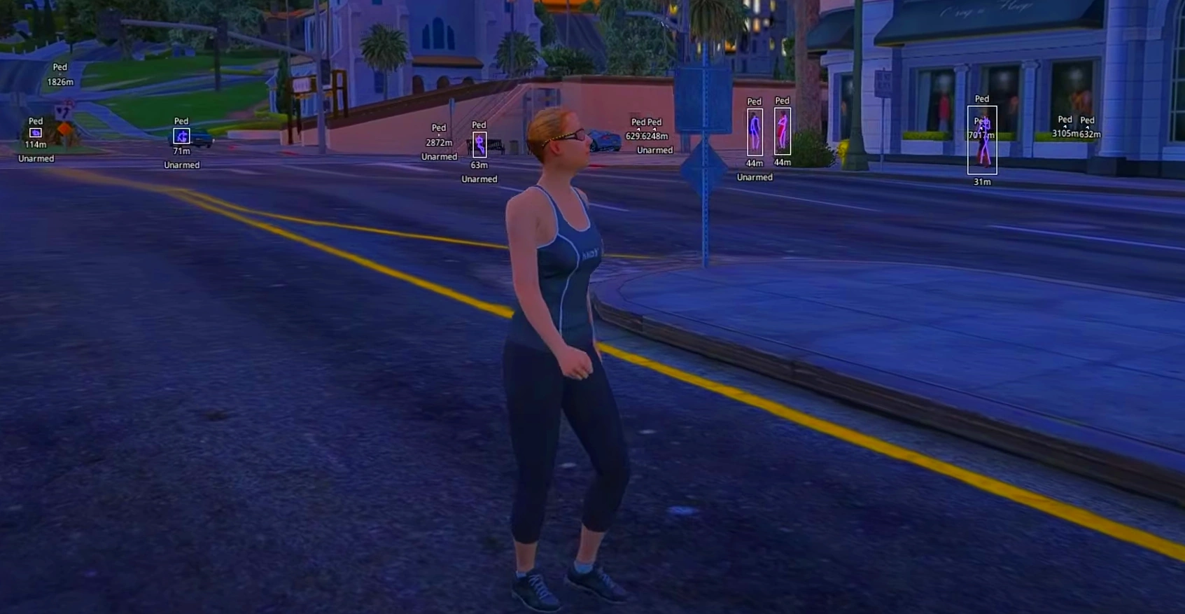 FiveM/GTA 5 Cheat Visuals