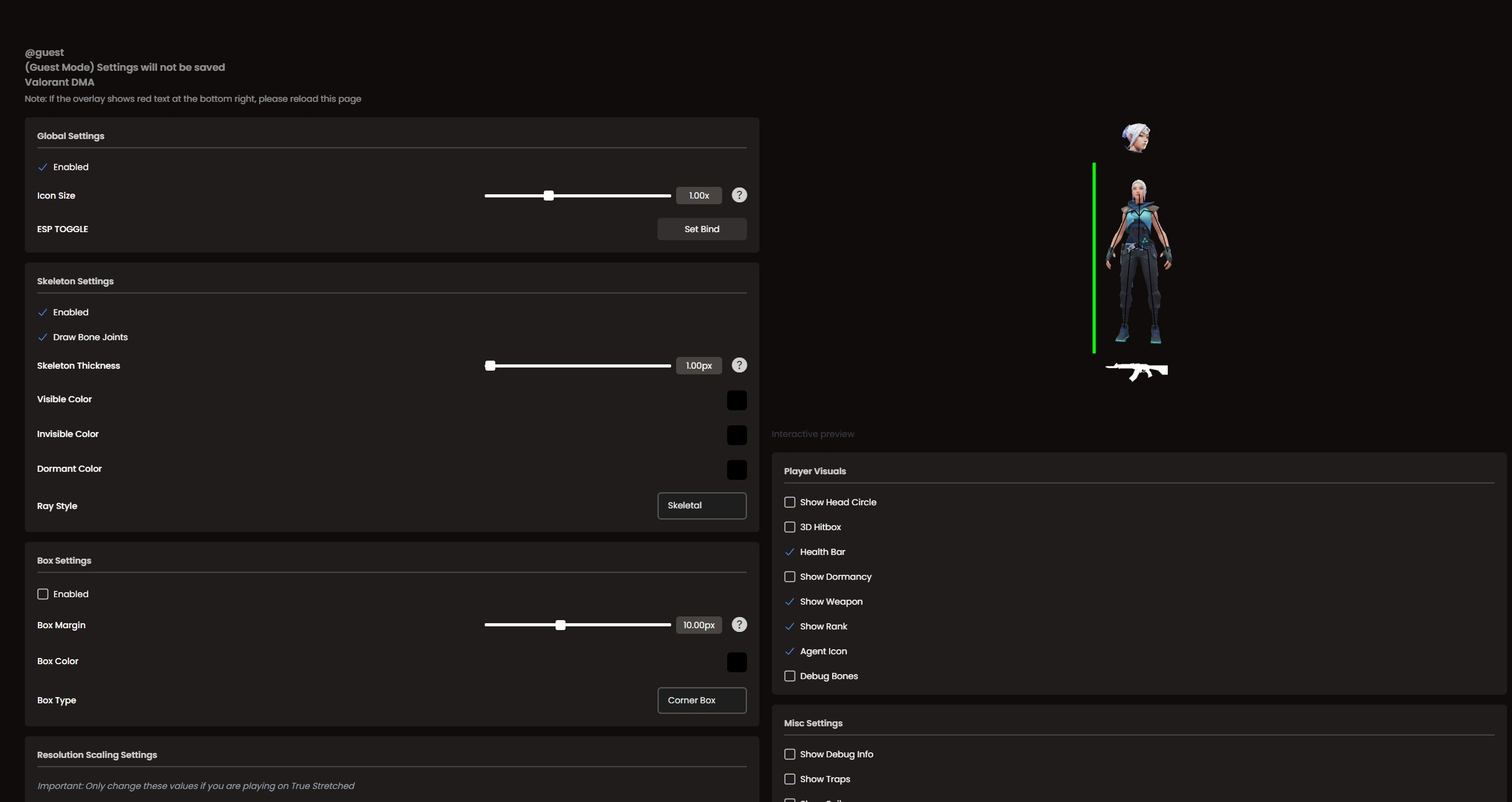 RKX Valorant DMA Player ESP